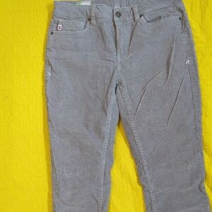 Stio Gray Straight Leg Pants